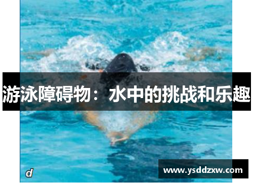游泳障碍物：水中的挑战和乐趣